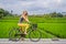 A young woman rides a bicycle on a rice field in Ubud, Bali. Bali Travel Concept