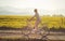 Young woman rides electric bike over dusty country road, strong afternoon sun backlight in background shines on yellow flowers