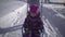 A young woman rides a little girl on a sled on a path in the winter park.