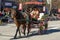 Young woman riding driving a horse and carriage in a festive parade in the US