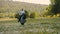 Young woman riding gray horse in field at summer sunny day, equestrian training