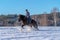 Young woman riding her Icelandic horse in deep snow and sunlight