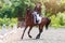 Young woman riding horse on dressage advanced test