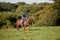 Young woman riding a horse in open field.