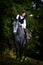 Young woman riding horse outdoor