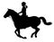Young woman riding a horse silhouette