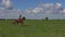 Young woman riding a horse trotting on field