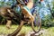 Young woman riding on mountain bike