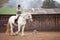 Young woman riding shire horse