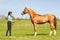 Young woman riding trainer holding purebred chestnut horse.