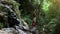 Young woman rises hands at waterfall in jungle Koh