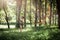 Young woman runner listening music on headphones while running on tropical rainforest trail in the morning