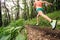 Young woman running in green forest. Endurance sport.