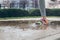 Young woman running, splashing puddles.