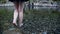 A young woman`s feet stepping into the clear water of a pristine natural pool.