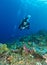 Young woman scuba diver exploring coral reef