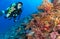 Young woman scuba diver exploring coral reef