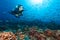 Young woman scuba diver exploring coral reef