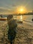 Young woman on the sea at sunset, in a foggy haze