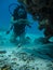 Young woman on the seafloor showing love signal to a small slope