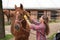 Young woman in shirt cleaning brown horse with spring curry comb