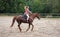 Young woman in shirt riding on brown horse, smiling, hair moving in air because of speed, blurred trees background