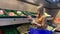 Young woman with shopping basket selecting fresh vegetables in a grocery store