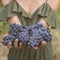 The young woman shows a heap of red grapes