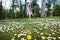 Young woman with silk scarf is jumping on the meadow full of ox-eye daisies and dandelions