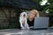 Young woman sits at table, laptop stands in front of her. Holds small white puppy next to keyboard