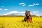 Young woman sitting on a brown horse in yellow rape or oilseed field with blue sky on background. Horseback riding. Space for text