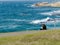 Young woman sitting on green grass at the park, reading, overseeing a view of the ocean and Jaffa harbor