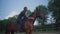 Young woman sitting and hugging horse in a riding horse school. Sunny day. Bored horse standing in a fence