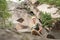 Young woman sitting on the rock in wild reserve