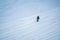 Young woman skiing in the middle of the mountain. various trails in the snow