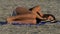 Young woman sleeping on a beach