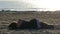 Young woman sleeping on the sandy beach