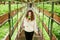 Young woman smelling fresh leafy greens in greenhouse.