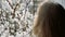 Young woman sniffs the blossoming apricot from the window. Close-up