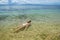 Young woman snorkeling in clear water on Taveuni Island, Fiji