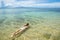 Young woman snorkeling in clear water on Taveuni Island, Fiji