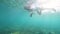 Young woman snorkeling with snorkel mask and mobile camera in transparent sea water. Underwater view girl swimming in