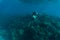 Young woman snorkling under water sea reef and coral. Summer vocation.