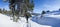 young woman snow shoeing / hiking in canada in the backcountry. winter landscape forest on a sunny day, blue sky in the deep snow