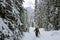 A young woman snowshoeing through forests of Island Lake in Fernie, British Columbia, Canada. A majestic winter background