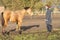 Young woman socializes a 6 month old foal in the pasture. She wears outdoor clothing in the winter