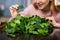 Young woman sorts fresh spinach