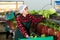 Young woman sorts Peking cabbage from crates