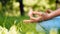 Young woman sportive trainer in blue tracksuit meditates in yoga pose with hands on knees on green meadow