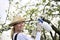 Young woman spraying apple tree